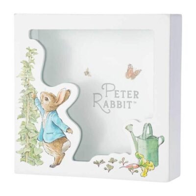 Peter Rabbit Money Bank