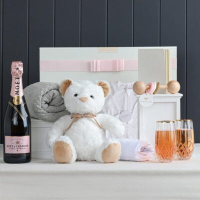 Sheridan Baby Girl Snuggles with MoÃ«t Hamper