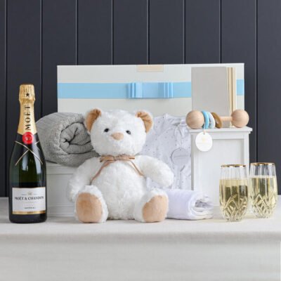 Sheridan Baby Boy Snuggles with MoÃ«t Hamper