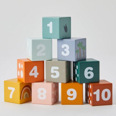 Wooden Animal & Number Blocks
