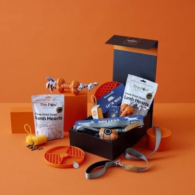 Active Pet with frank green Hamper