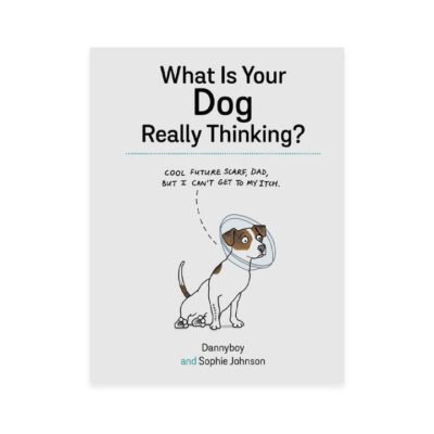 What is your Dog Really Thinking