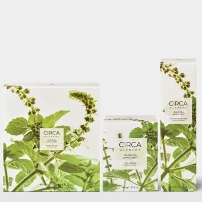 CIRCA A Refreshed Home