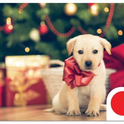 Santa Pup Gift Card